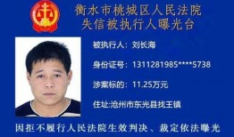 衡水最近爆料案件最新,最新案件细节曝光，真相令人震惊！